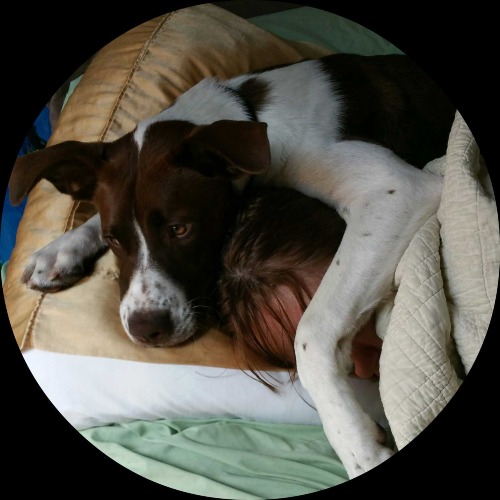 This Other Picture of Definitely Another Dog